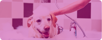 Solution / logiciel de rendez-vous en ligne